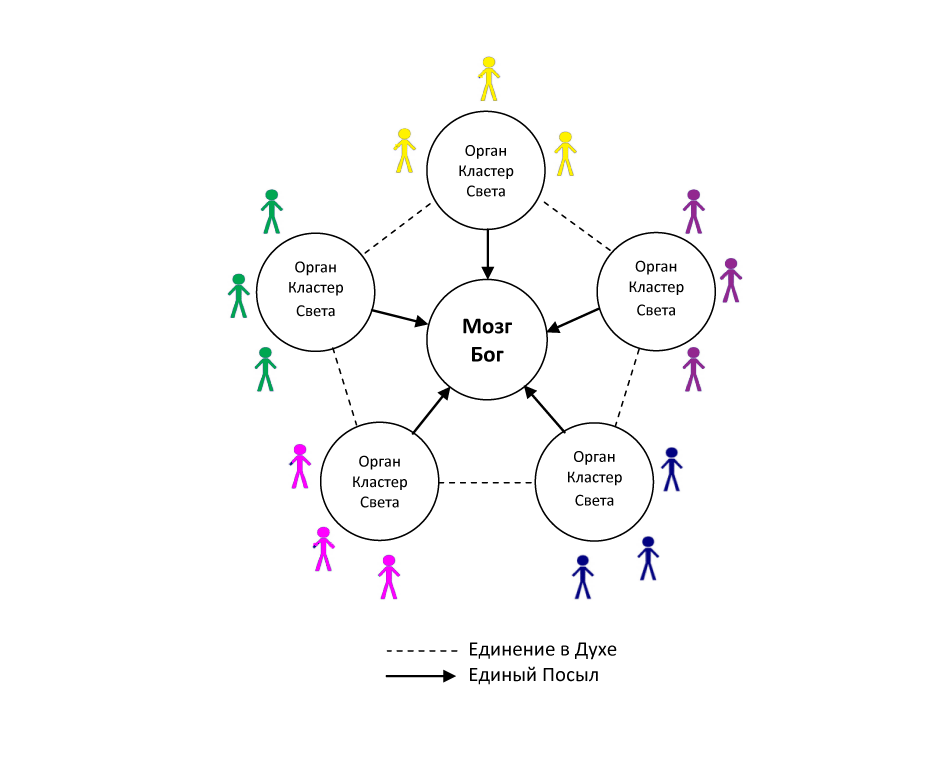 Схема Единения на примере взаимодействия органов человека.